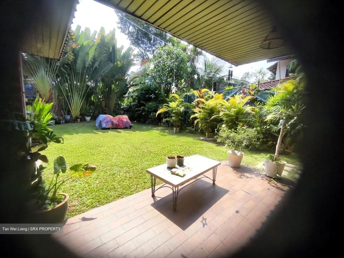 Capitol Park (D11), Terrace #607522391